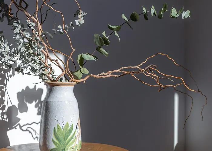 Casas Da Couraca * コインブラ